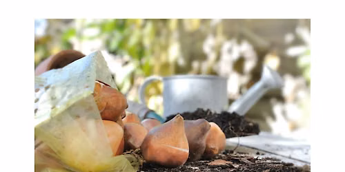 LAYERED BULBS