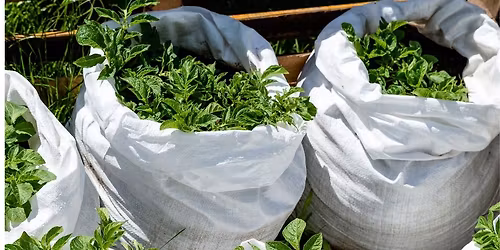 Winterize Your Garden Class