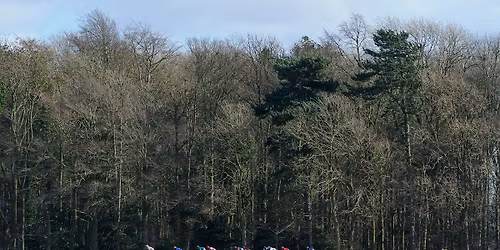 Brocklesby Races 2026