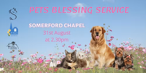 Pets Service at Somerford