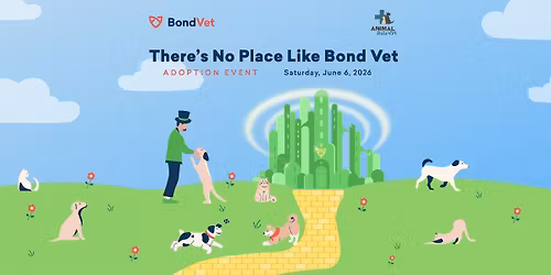 There's No Place Like Bond Vet - NoHo