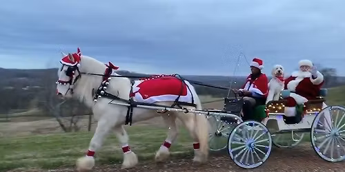 Santa's Grand Arrival!