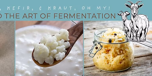 Kombucha, Kefir, and Kraut, Oh My! An Intro to the Art of Fermentation