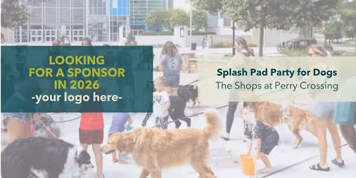 Splash Pad Party for Dogs