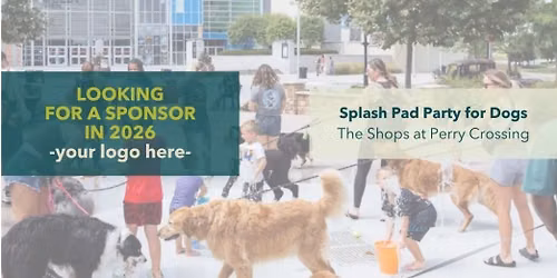 Splash Pad Party for Dogs