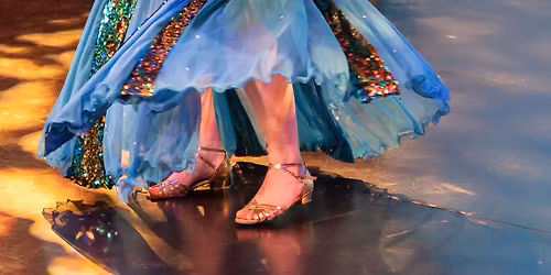 Belly Dance Basics - Veilwork