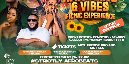 Afrobeats and vibes Picnic Experience
