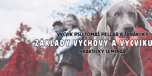 Z\u00e1klady v\u00fdchovy a v\u00fdcviku psa - praktick\u00fd celodenn\u00ed semin\u00e1\u0159