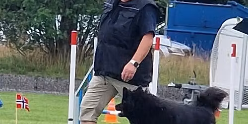 Rallylydighetsstevne, Moss og Omegn Hundeklubb 14.05.2026