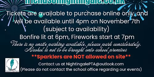 Firework Display and Bonfire \ud83c\udf86 \ud83d\udd25 