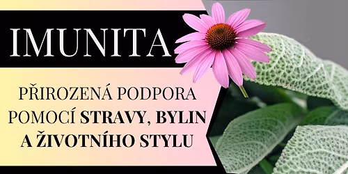 IMUNITA | p\u0159irozen\u00e1 podpora pomoc\u00ed stravy, bylin a \u017eivotn\u00edho stylu