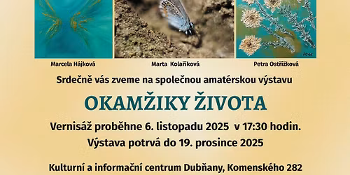 V\u00fdstava OKAM\u017dIKY \u017dIVOTA