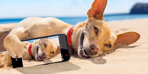 Selfie Day - neofici\u00e1ln\u00ed z\u00e1vod v dogdancingu