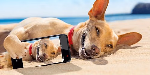 Selfie Day - neofici\u00e1ln\u00ed z\u00e1vod v dogdancingu
