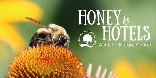 Honey and Hotels ~ Ashland Nature Center