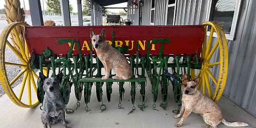 BHAD Scent Work Trial