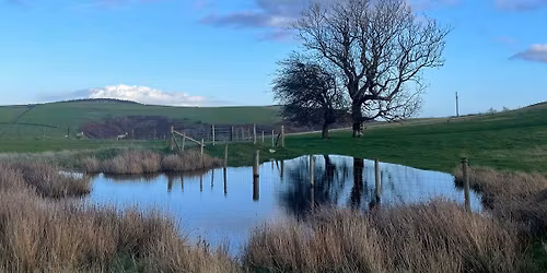 Kinsley Woods - Cwm-sanaham Hill circular walk