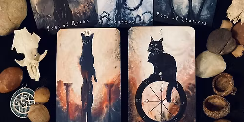 Tarot Cards and Cats