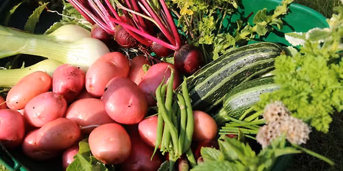Hidden Roots, Future Harvests\u2122 -- Growing Food in an Arid Land
