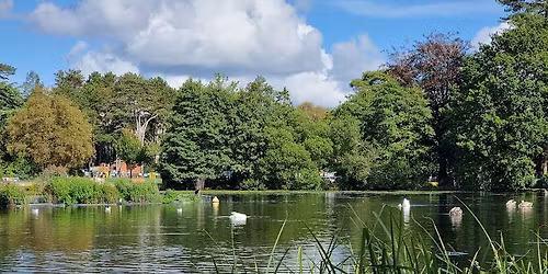 USk Swansea - Brynmill Park - November Meet Up