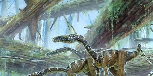 Dinosaurs & Birds (members meeting)