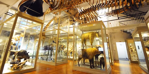 Honoring Veterans: Free Admission for Veterans & Their Families