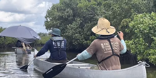 Canoe Mosquito Lagoon