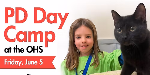 PD Day Camp at the OHS