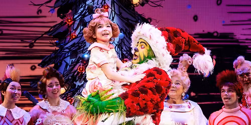 Parking How The Dancing Grinch Stole Christmas - Savannah