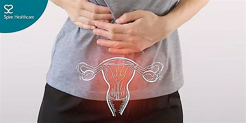 Free endometriosis information event with Miss Carol Munyame