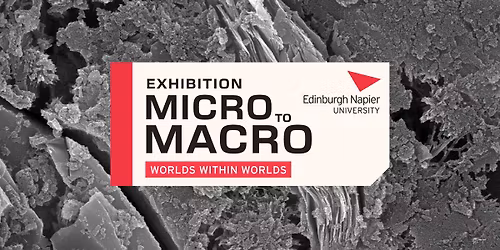 Exhibition: Micro to Macro