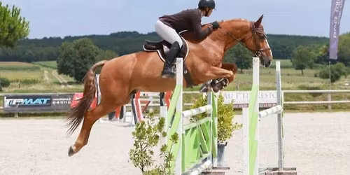 Nouvelle date ajout\u00e9e ! Stage de HUNTER avec Pierre Sala\u00fcn