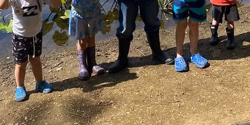 Spring Session at Little Explorers Nature Club