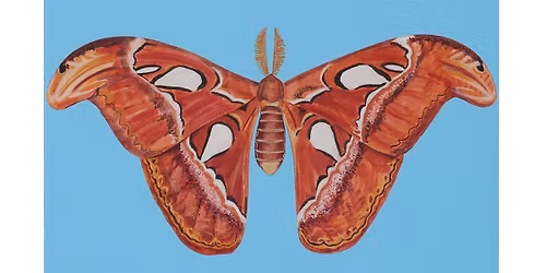 Exhibition Opening: Prophets - Paintings by Hilary Baker