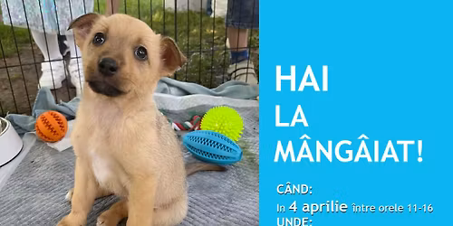 Hai la m\u00e2ng\u00e2iat