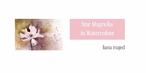 Star Magnolia in Watercolour - Bean Around The World Coffee.