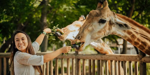 Fredericksburg Giraffe Experience and Wine Tasting