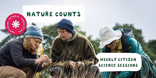 Nature Counts: Bee walk