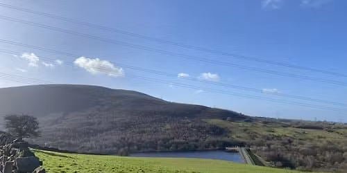 Millbrook Monster 10k