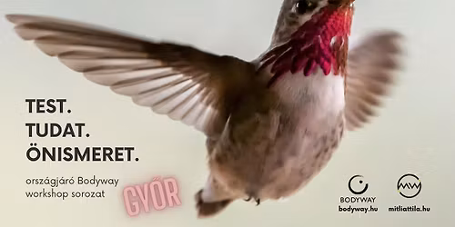 Test. Tudat. \u00d6nismeret. - Orsz\u00e1gj\u00e1r\u00f3 Bodyway workshop sorozat - a Bodyway Egyes\u00fclet szervez\u00e9s\u00e9ben