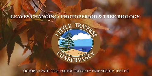 The Tree Biology of the Changing Leaves in Northern Michigan