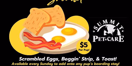 Sunday Brunch for Overnight Boarding Guests at Summit Pet Care!