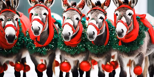 Christmas Story and Donkey Day at the Monastery | Festive Fun for the Whole Family!