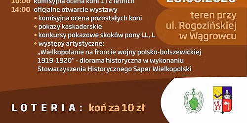 XXVIII Wystawa Koni Hodowlanych w W\u0105growcu