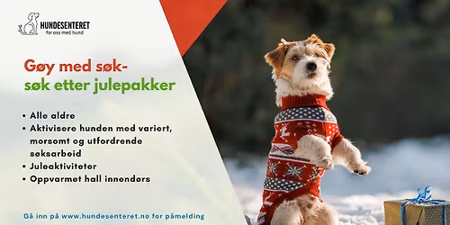 G\u00f8y med s\u00f8k- s\u00f8k etter julepakker (2 ledige plasser)