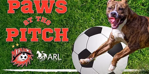 ARL Paws at the Pitch