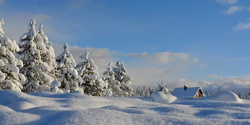 Winter Holidays Party