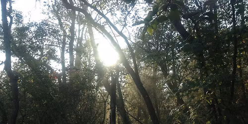 Summer Twilight Get Together 