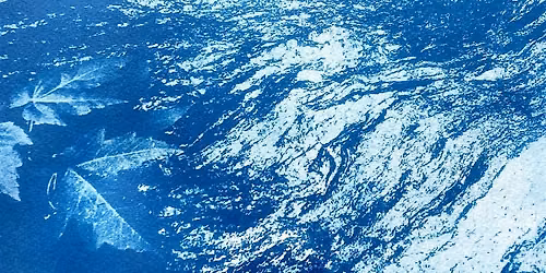Cyanotype Art Workshop - Borski Park