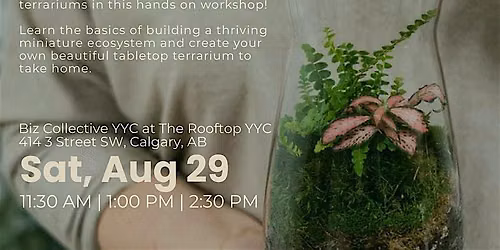 Enclosed Terrarium Workshop  | Summer Local Market |The Rooftop YYC |2:30PM